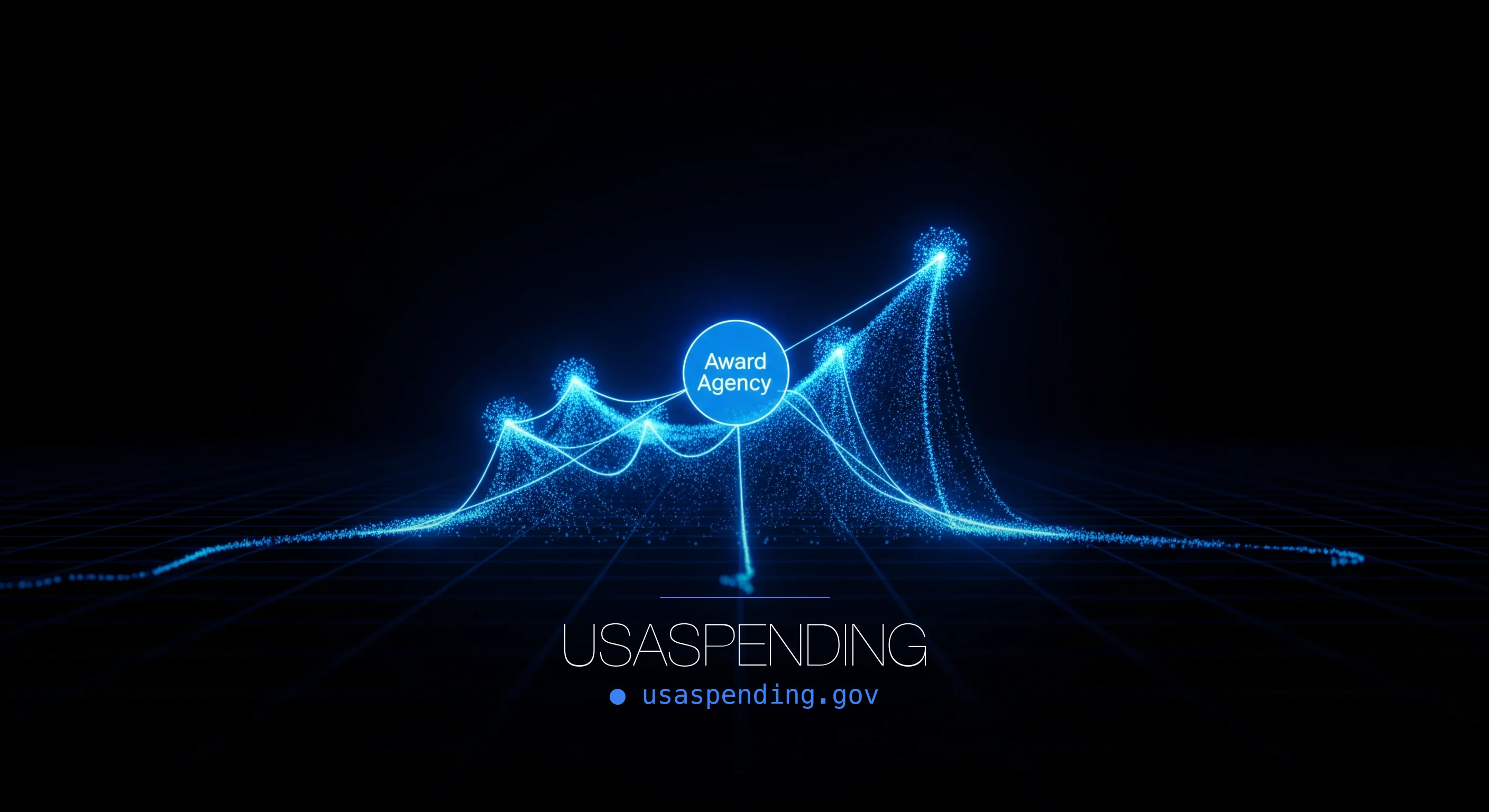 USAspending Federal Awards